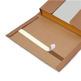 Blasetti Boîte d'expédition Livres - Book Box S emballage en carton micro-ondes