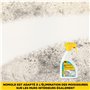 FILA Surface Care Solutions, NOMOLD, Anti-Moisissures Actif Adapté aux Surfaces Intérieures, Anti Moisissure Salle de Bain, Effi