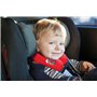 Disney 1524237 Coussin