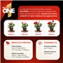 NUTRI 1 ONE Engrais Liquide pour Plantes saines et Fleurs luxuriantes, 1 l