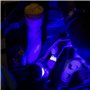 Traceur UV pour Recherche de Fuites d’Huile Pièces Moteur