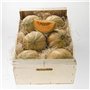Luvit & Lumoè Paille decorative à garnir panier Frisure de bois pour les colis | Offre 1 kg | Matériel de remplissage pour embal