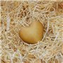 Luvit & Lumoè Paille decorative à garnir panier Frisure de bois pour les colis | Offre 1 kg | Matériel de remplissage pour embal