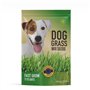 R&R SHOP - Mélange de graines de gazon pour chiens