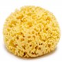 Kalyspongea® Éponge de mer 100% Naturelle Bio Grande 12-13 cm de haute qualité résistante et durable exfoliante de bain pour le