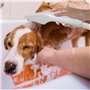 Altéax Douchette Evier Cuisine avec Adaptateur Universel - Notre Douchette Lavabo est Idéale pour Laver les Cheveux, les Animaux