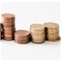 Blister Pour Pièces Conteneurs Porte-monnaie 1 € - 2 € - 50cent et 20cent - Classeur Euro Compte Argent (20 pcs par Coupe) - Kit