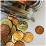 Blister Pour Pièces Conteneurs Porte-monnaie 1 € - 2 € - 50cent et 20cent - Classeur Euro Compte Argent (20 pcs par Coupe) - Kit