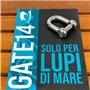 Forme D