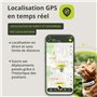 Kippy - Collier GPS pour Chats Kippy Cat Color – Traceur GPS de Santé et d'Activité - Collier Chat GPS Anti-étranglement avec Al