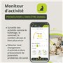 Kippy - Collier GPS pour Chats Kippy Cat Color – Traceur GPS de Santé et d'Activité - Collier Chat GPS Anti-étranglement avec Al