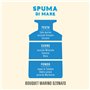 Helan Spuma di Mare - Rafraîchisseur d'air, parfum d'ambiance avec sel de mer et notes de géranium, bâtonnets diffuseurs - Idées