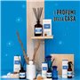 Helan Spuma di Mare - Rafraîchisseur d'air, parfum d'ambiance avec sel de mer et notes de géranium, bâtonnets diffuseurs - Idées