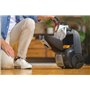 Hoover HE520PET Aspirateur Traîneau Sac,Grande Puissance Aspiration 850W,variateur de vitesse,grande capacité 3.5L,très silencie