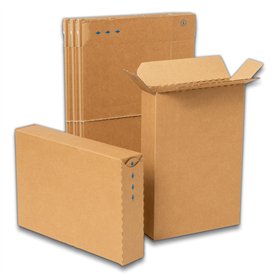 IPEA Boîtes en Carton Plates pour expédition - Fermeture avec Bandes Adhésives - 10 pièces - 24 x 16