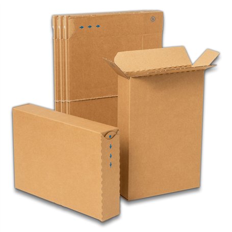 IPEA Boîtes en Carton Plates pour expédition - Fermeture avec Bandes Adhésives - 10 pièces - 24 x 16