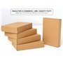 IPEA Boîtes en Carton Plates pour expédition - Fermeture avec Bandes Adhésives - 10 pièces - 24 x 16,5 x 4,5 cm - Fabriquées en 