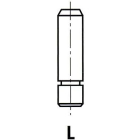 IPSA Guides de soupape VG018300