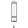IPSA Guides de soupape VG018300