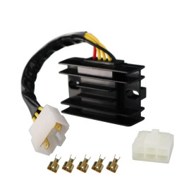 QILINGS Régulateur Redresseur Tension pour Suzuki VL125 pour Intruder LC 2000-2007 VL250 pour Intruder LC 2000-2012 pour DR-Z250