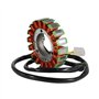 Bobine Stator Moto Bobine D'allumage De Stator De Moteur Magnéto