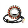 Bobine Stator Moto Bobine D'allumage De Stator De Moteur Magnéto, Pièces De Moto pour D&ucati pour Street pour Fighter 848 1098 