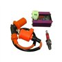 Magnéto Stator Ajusteur À 6 Broches AC CDI + Bobine D'allumage + 3 Électrodes Pour Scooter Et Cyclomoteur