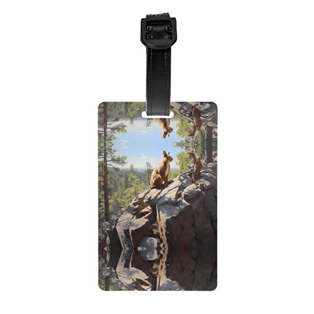 WZYWHJ Étiquette de bagage imprimée écureuil sur rocher avec dragonne amovible – Crochet de voyage pour une identification facil