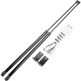 Supports de levage de capot Tiges de levage de capot Bras de levage de capot 2Pcs Engine Hood Lift Front Bonnet Strut pour FOR-D