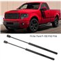 Supports de levage de capot Tiges de levage de capot Bras de levage de capot 2Pcs Engine Hood Lift Front Bonnet Strut pour FOR-D