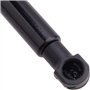 Supports de levage de capot Tiges de levage de capot Bras de levage de capot 2Pcs Engine Hood Lift Front Bonnet Strut pour FOR-D