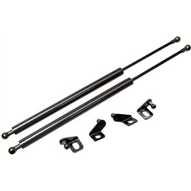 Supports de levage de capot Tiges de levage de capot Bras de levage de capot 2Pcs Engine Hood Lift Front Bonnet Strut pour K-IA