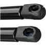 Supports de levage de capot Tiges de levage de capot Bras de levage de capot 2Pcs Engine Hood Lift Front Bonnet Strut pour Infin