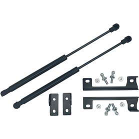 Supports de levage de capot Tiges de levage de capot Bras de levage de capot 2Pcs Engine Hood Lift Front Bonnet Strut pour Focus