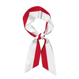 GaxfjRu Écharpe imprimée drapeau de Monaco pour femme