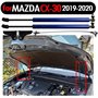 Car Gas Springs Amortisseur Bonnet