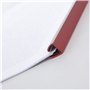 APLI-AGIPA 48809 Kit Reliure Polypropylène 30 feuilles Bord Incurvé 10 x 297 mm 5 Baguettes Couleur 5 Couverture Transparent Ver