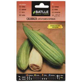 Semillas Batlle COURGE Eponge