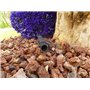 Suinga Lot de 25 Colliers d'Irrigation Goutte à Goutte 16 mm Noir – Fixation Tuyau pour Système Irrigation Goutte à Goutte, Acce