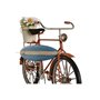 Figurine Décorative Home ESPRIT Bleu Vert Orange 31 x 8,5 x 19 cm (3 Unités)