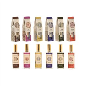 Désodorisant Home ESPRIT 100 ml (6 Unités)