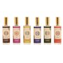 Désodorisant Home ESPRIT 100 ml (6 Unités)