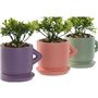 Plante décorative Home ESPRIT Polyéthylène Ciment Urbaine 9 x 7 x 12 cm (3 Unités)