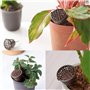 GOODGDN Outil De Bonsaï avec Couvercle, Bonsaï avec Couvercle Boîte D'engrais, 30 pcs Boîte Engrais Organique Epandeur Plastique