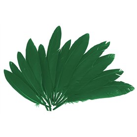INNSPIRO Plumes indiennes vertes env. 25 mm x 140 mm. 60 u.