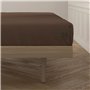 Drap housse Happy Home Mix Colors Marron Lit 1 persone