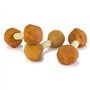 Arquivet Haltères de Poulet - Natural Dog Snacks - Snacks pour Chien - 100 g (Lot de 1)