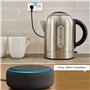 Woox Multiprise intelligente R4027, Fonctionne avec Alexa, Blanc