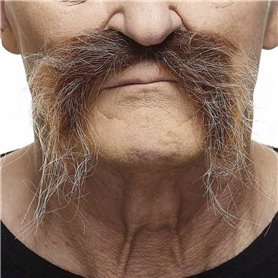 Moustache My Other Me Marron