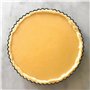 MGE - Moule à Tarte Perforé/Moule à Quiche avec Fond Amovible - Plat à Quiche - Moule Tartelette - Moules à Gâteaux Rond - Revêt